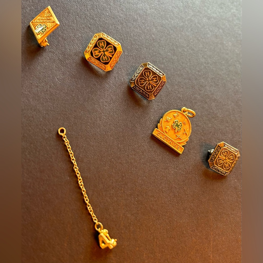 4H, academic pins- vintage. 4H pin Box - Picture 6 of 9